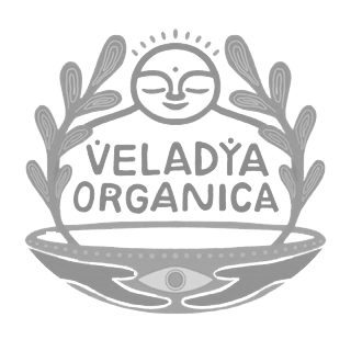 WhatsApp Image 2025-08-19 at 12.57.26 PM (2)